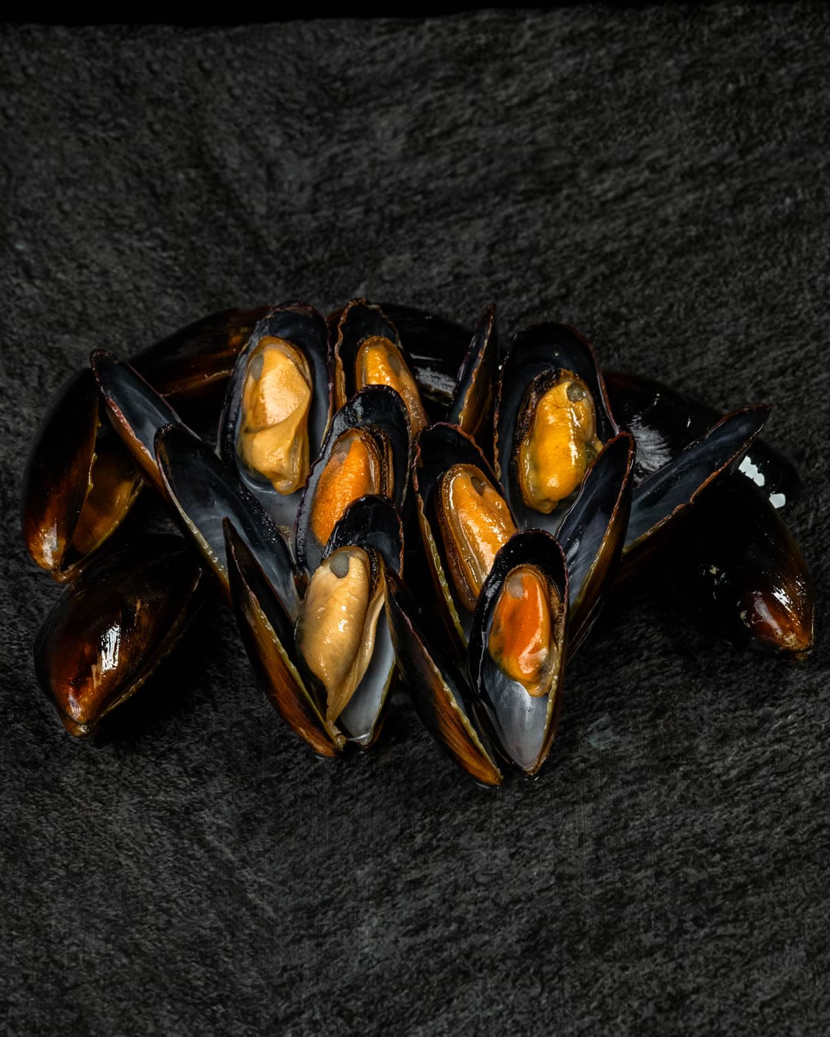 Chilean Black Mussel