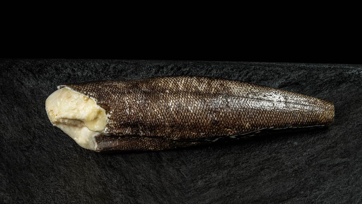Chilean Sea Bass